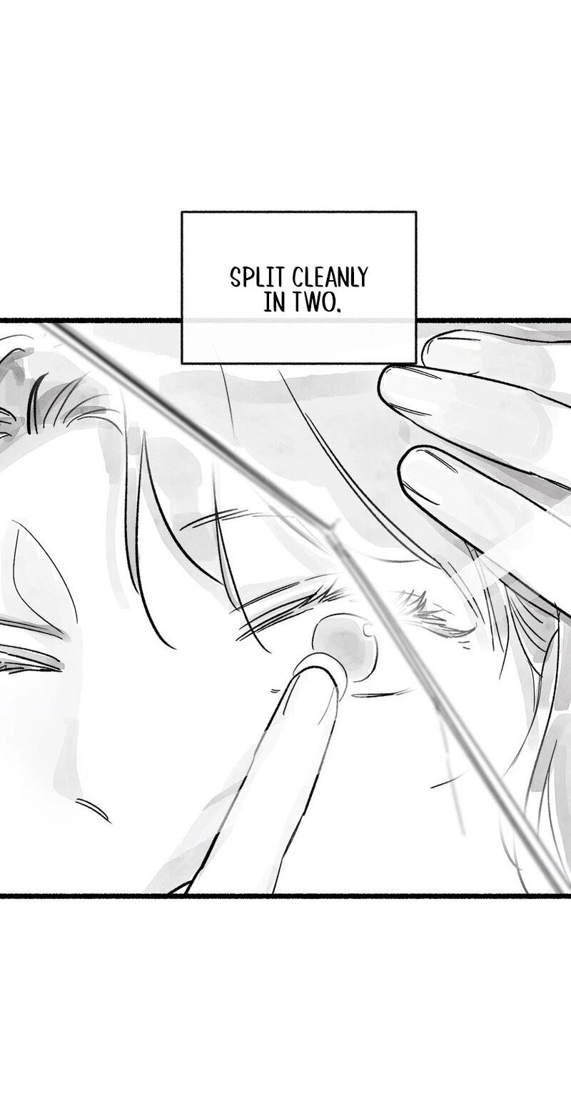 Common and Widespread Chapter 59 page 66 - 