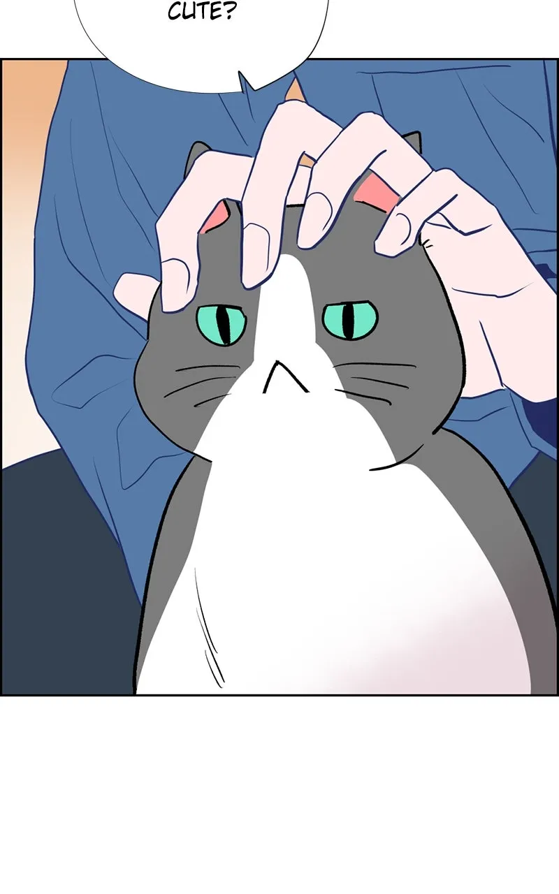 Copy-Paste Romance Chapter 22 page 78 - 