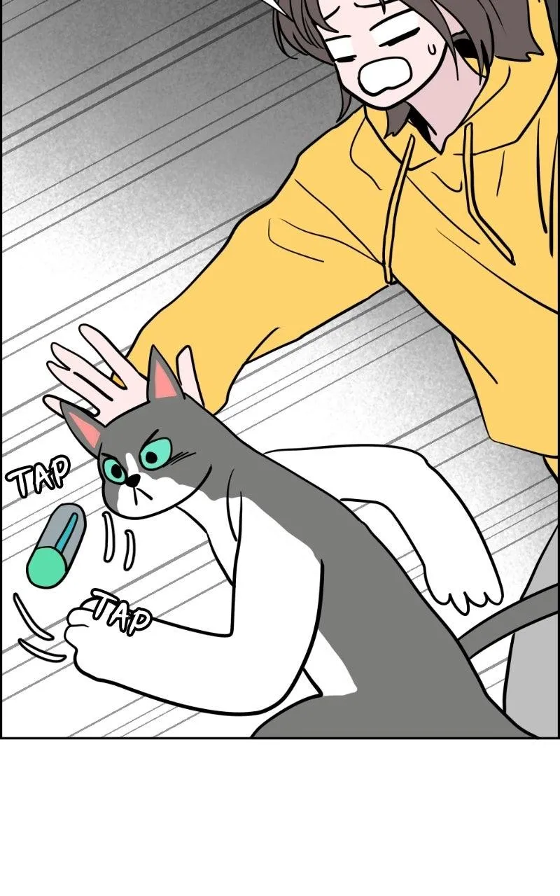 Copy-Paste Romance Chapter 62 page 25 - 