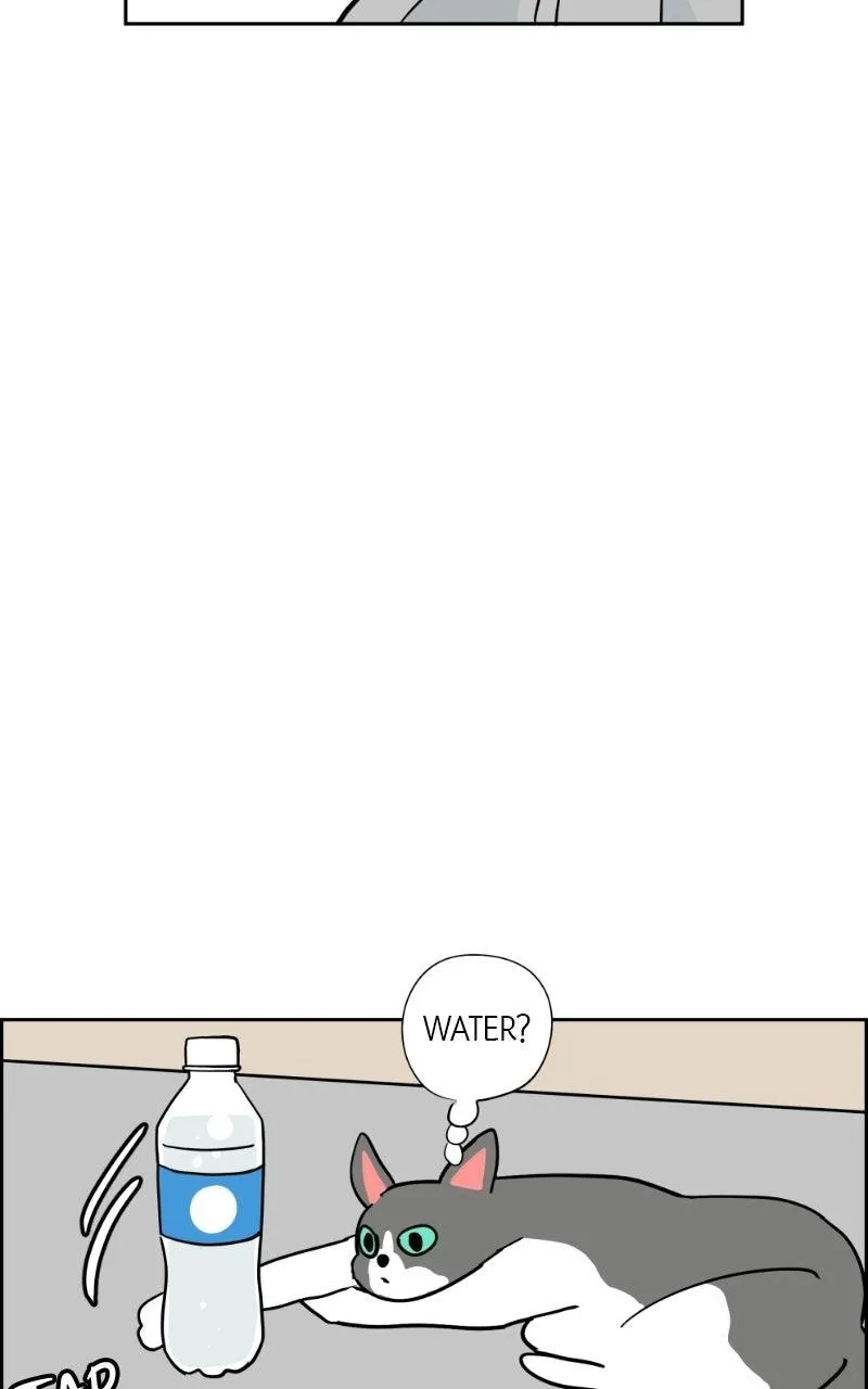 Copy-Paste Romance Chapter 62 page 5 - 