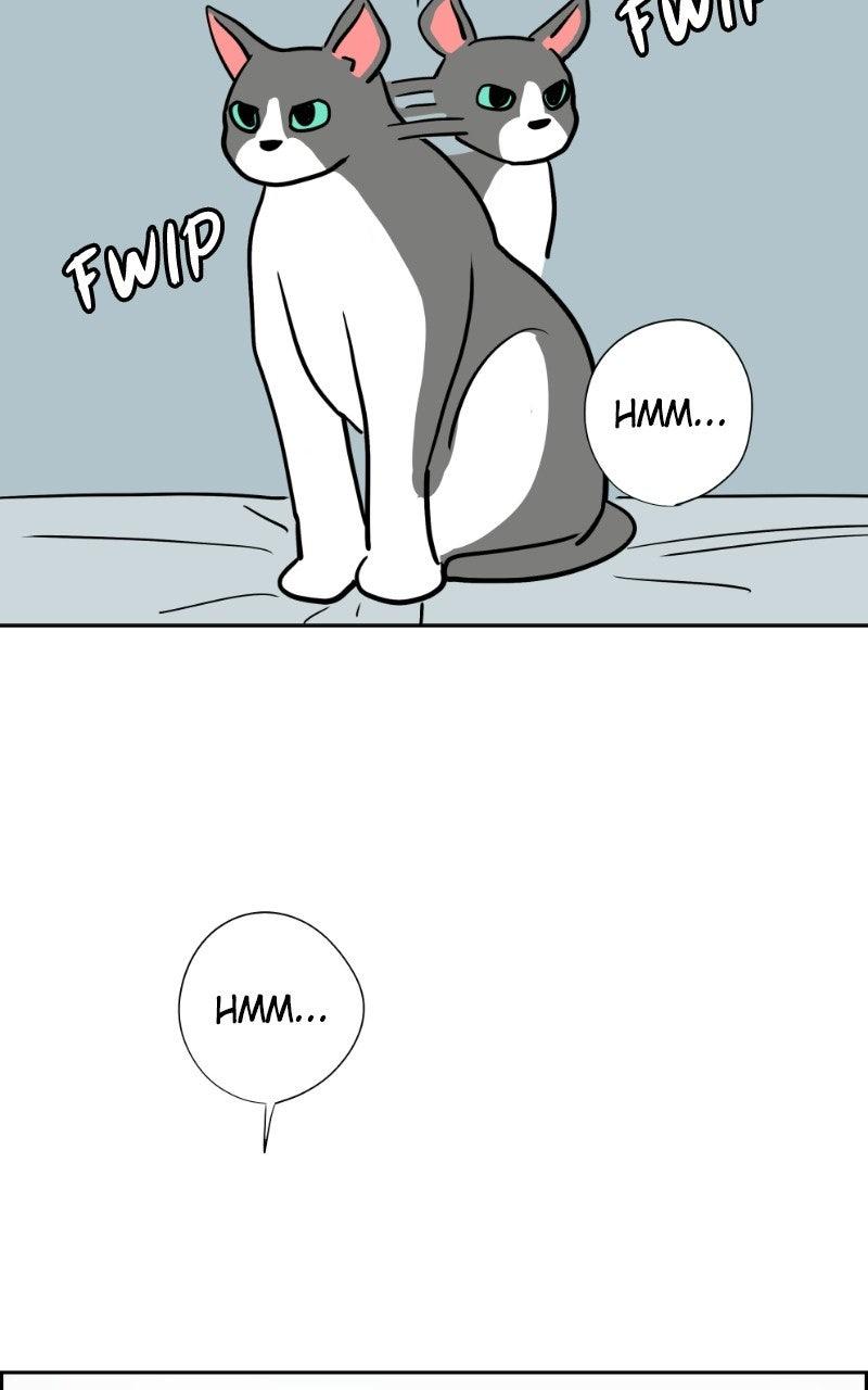 Copy-Paste Romance Chapter 69 page 64 - 