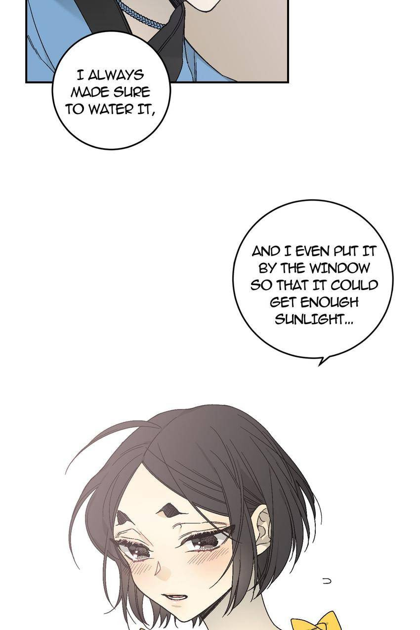 Corridor of Mirs Chapter 24 page 7 - 