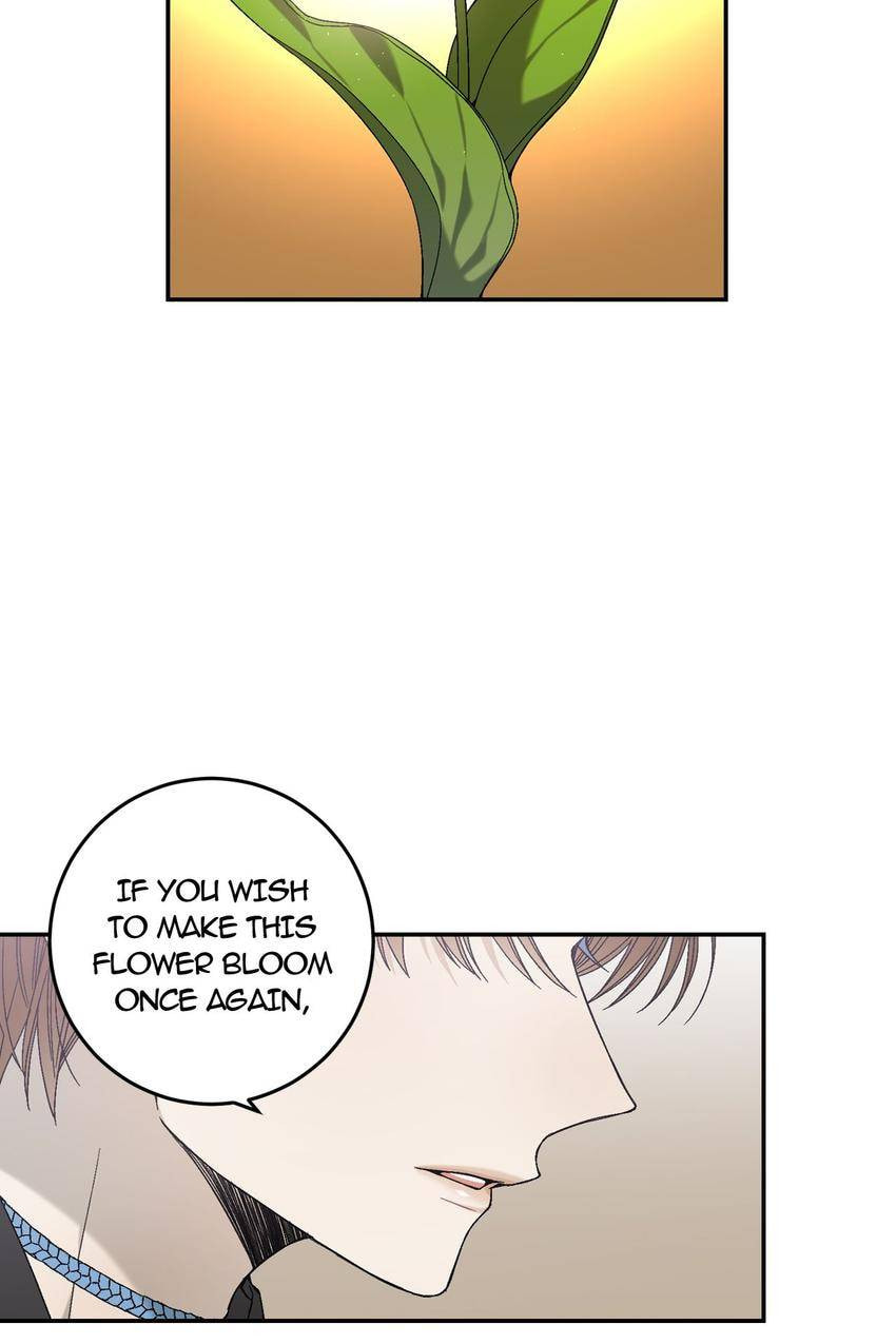 Corridor of Mirs Chapter 25 page 49 - 