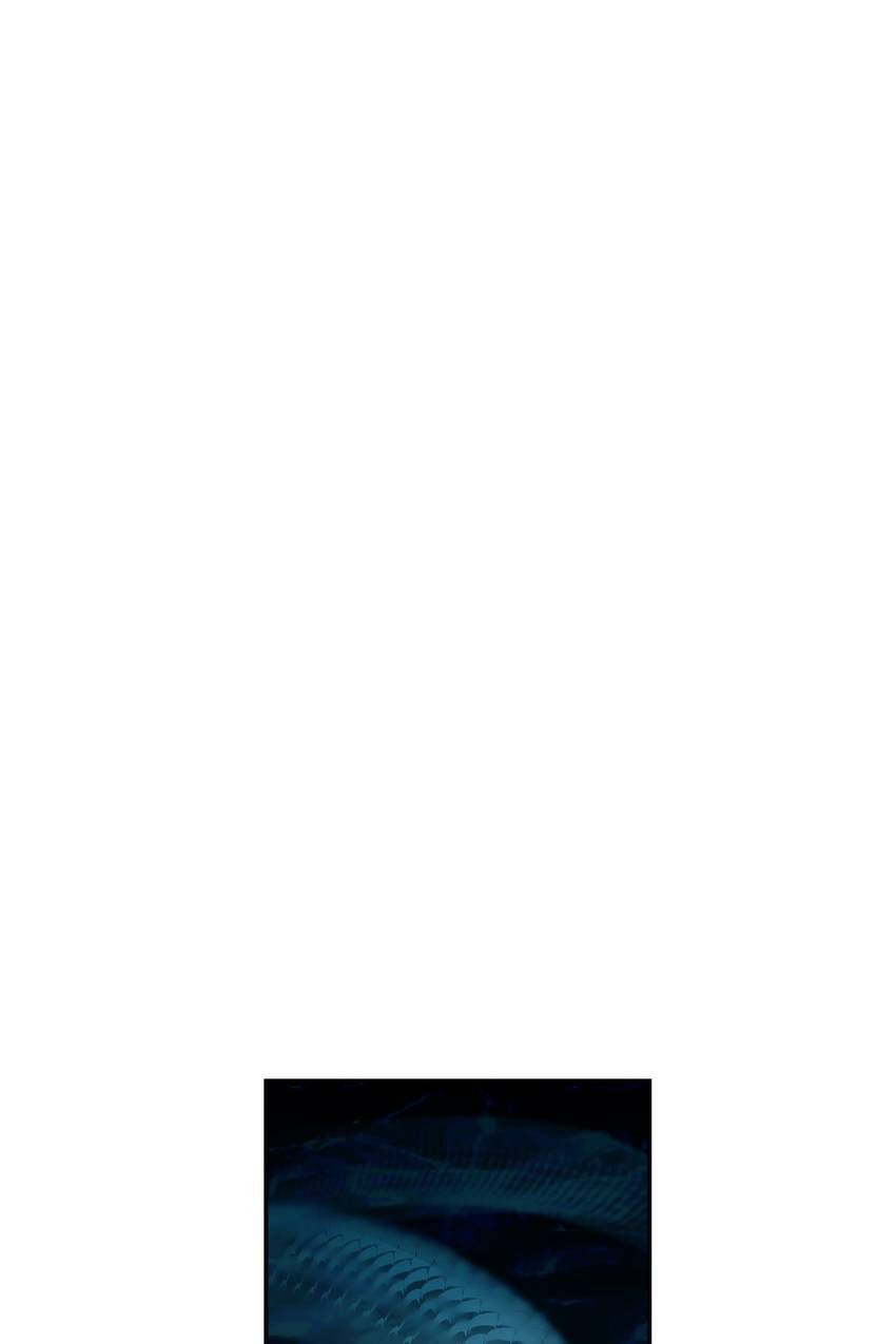 Corridor of Mirs Chapter 57 page 51 - 