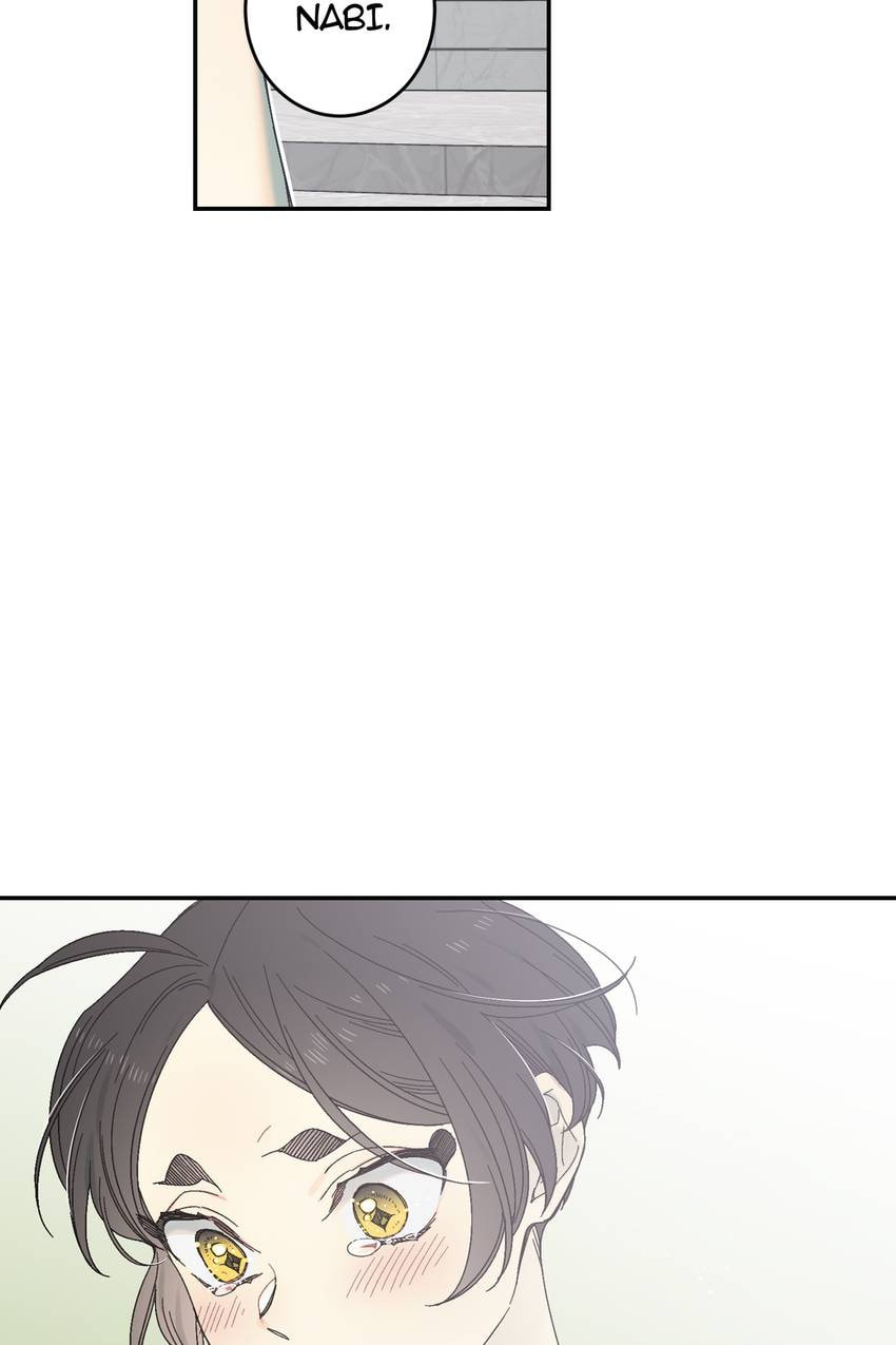 Corridor of Mirs Chapter 65 page 45 - 