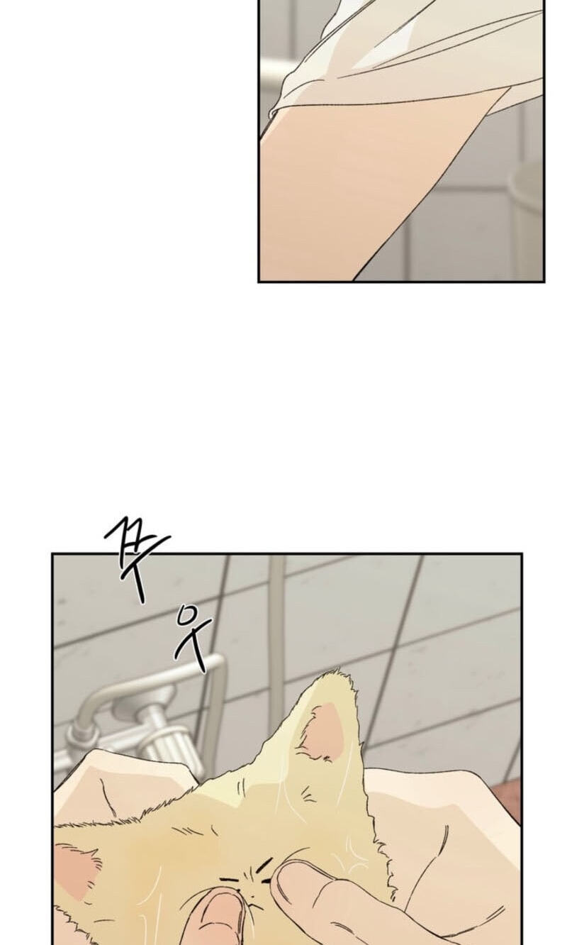 Cross-Color Point Chapter 19 page 3 - 