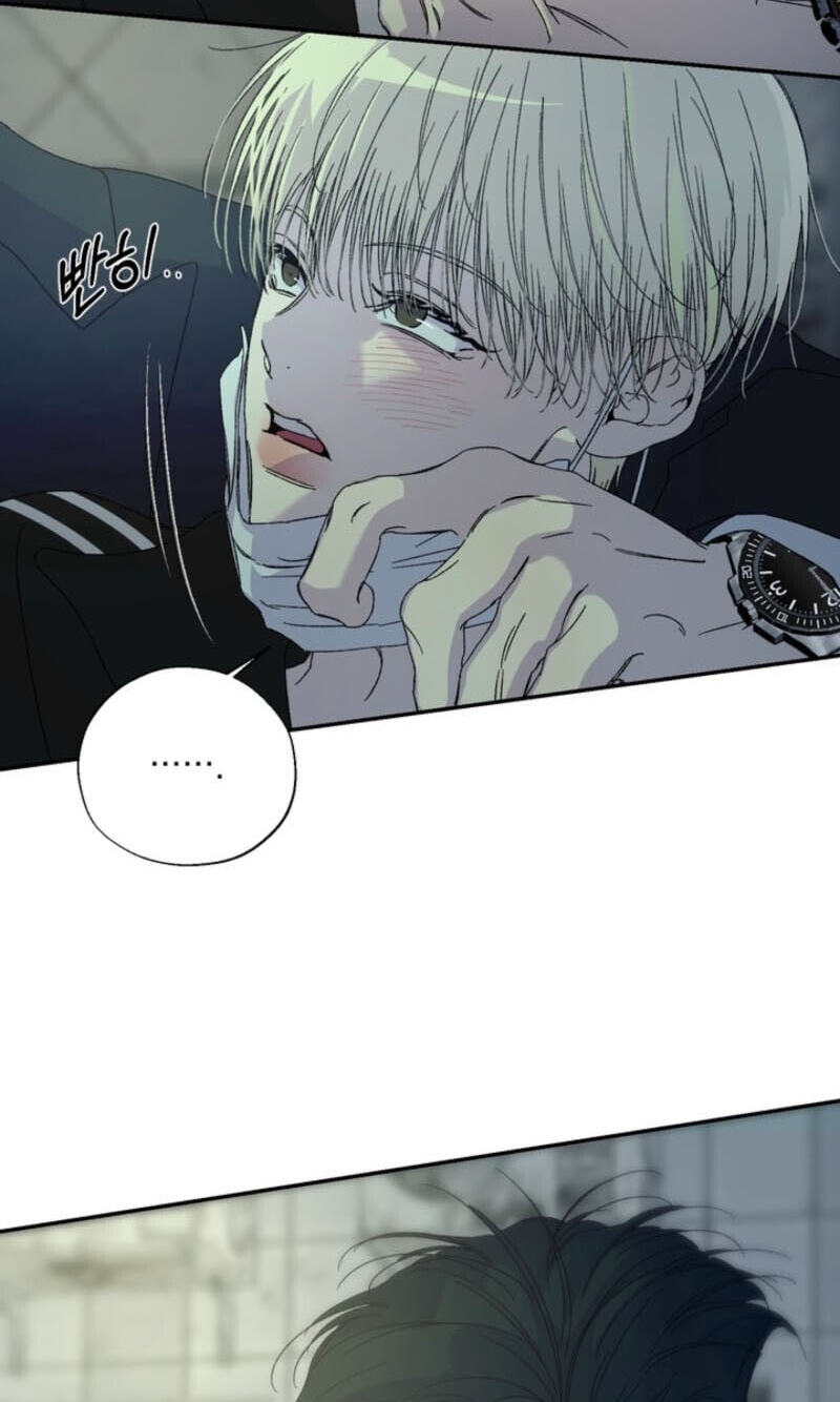 Cross-Color Point Chapter 19 page 56 - 