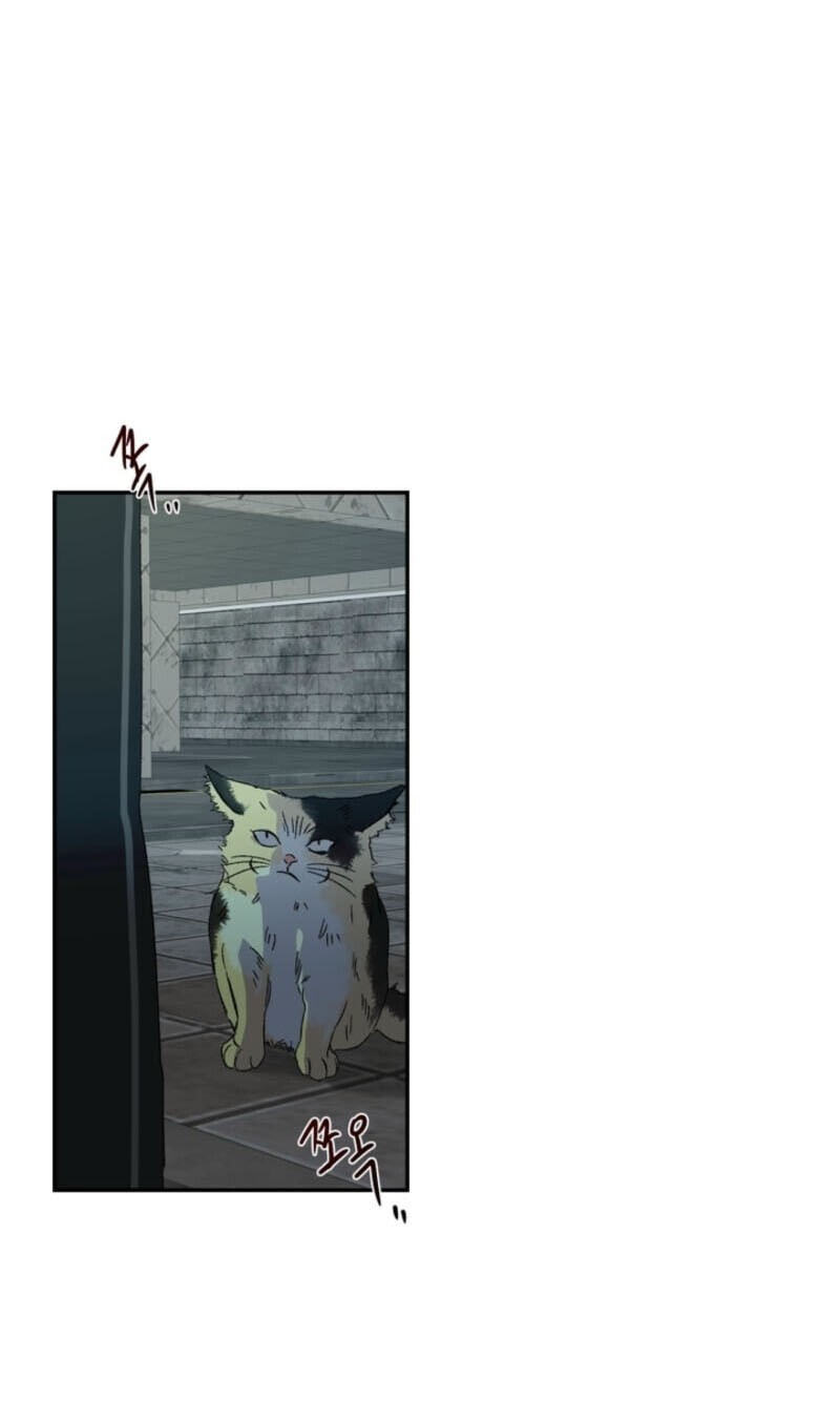Cross-Color Point Chapter 19 page 61 - 