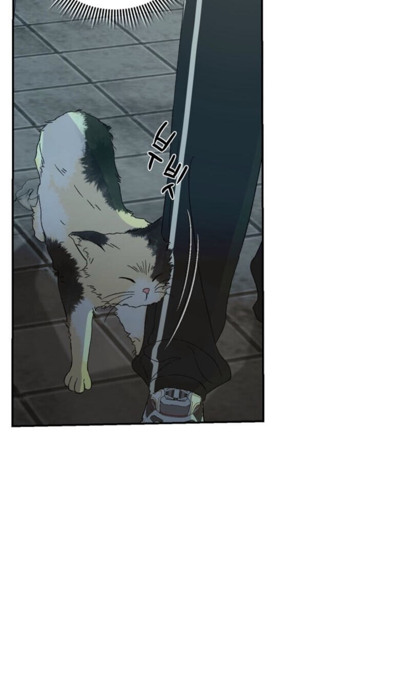 Cross-Color Point Chapter 19 page 73 - 