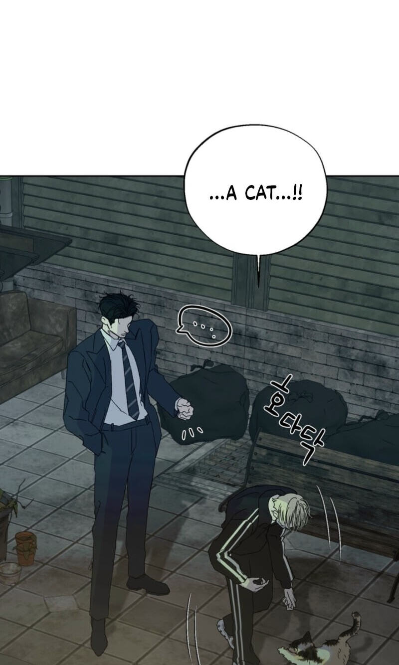 Cross-Color Point Chapter 19 page 74 - 