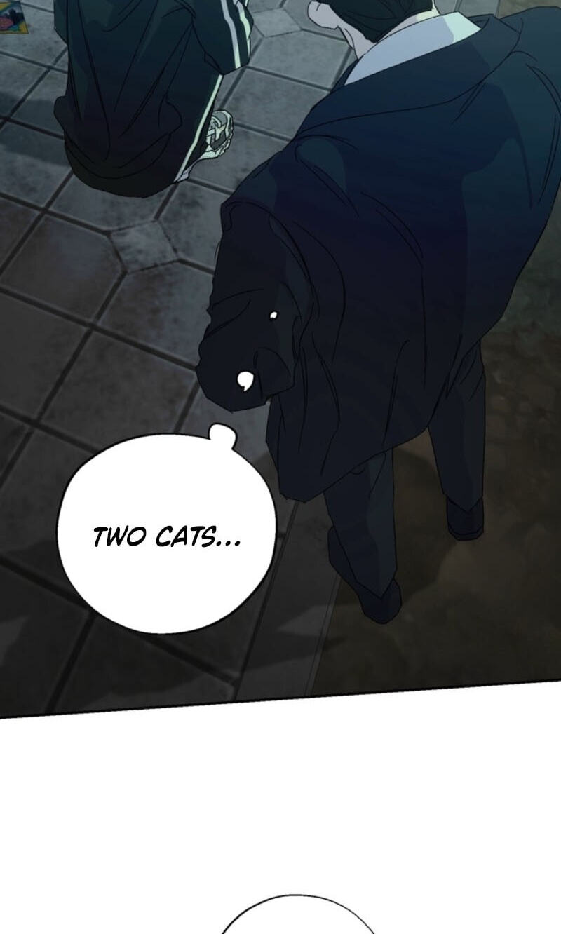 Cross-Color Point Chapter 19 page 78 - 