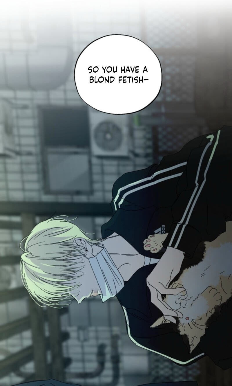 Cross-Color Point Chapter 19 page 80 - 