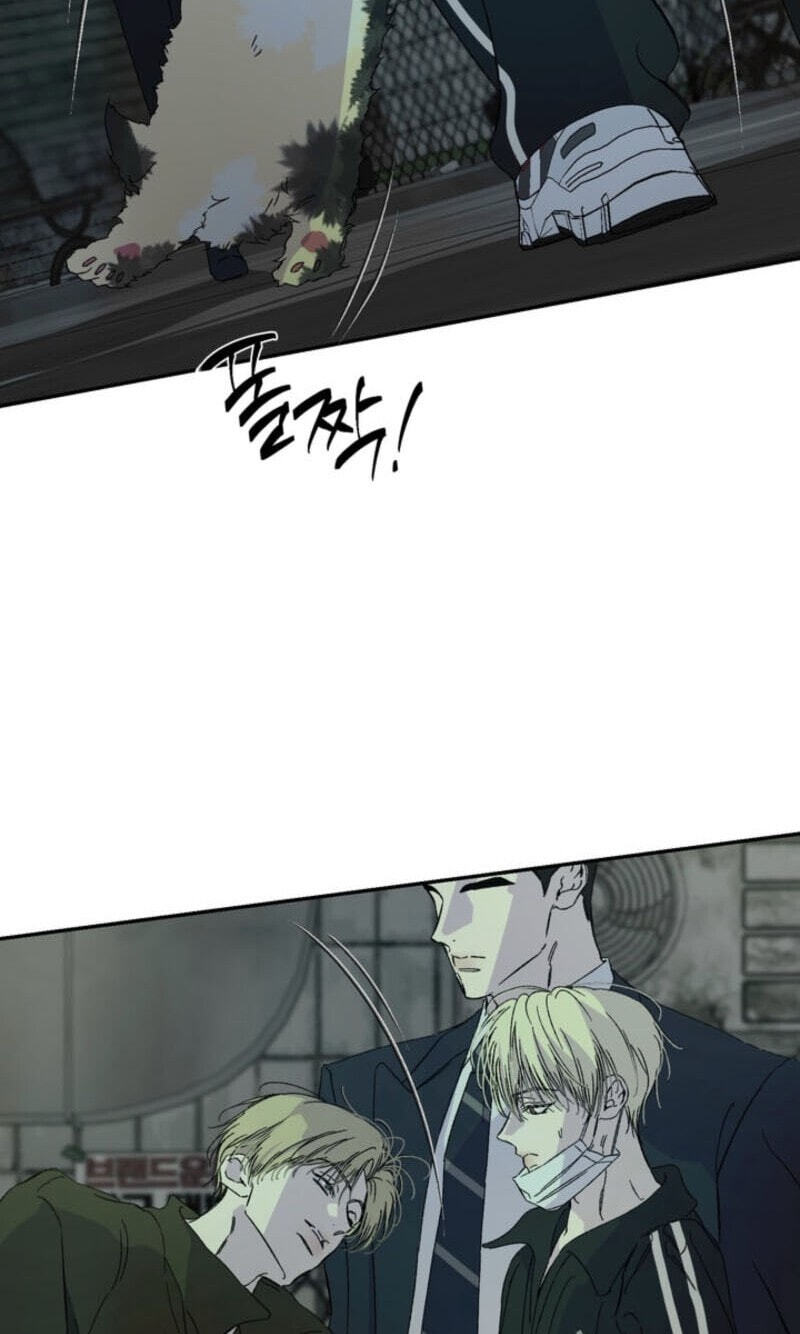 Cross-Color Point Chapter 20 page 19 - 