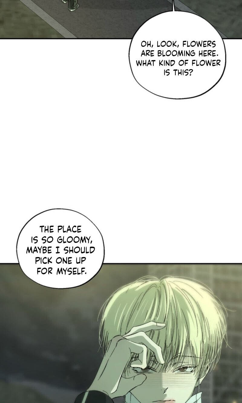 Cross-Color Point Chapter 20 page 67 - 