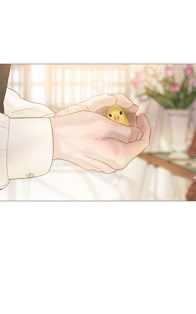 Cry, or Better Yet, Beg Chapter 11 page 98 - 