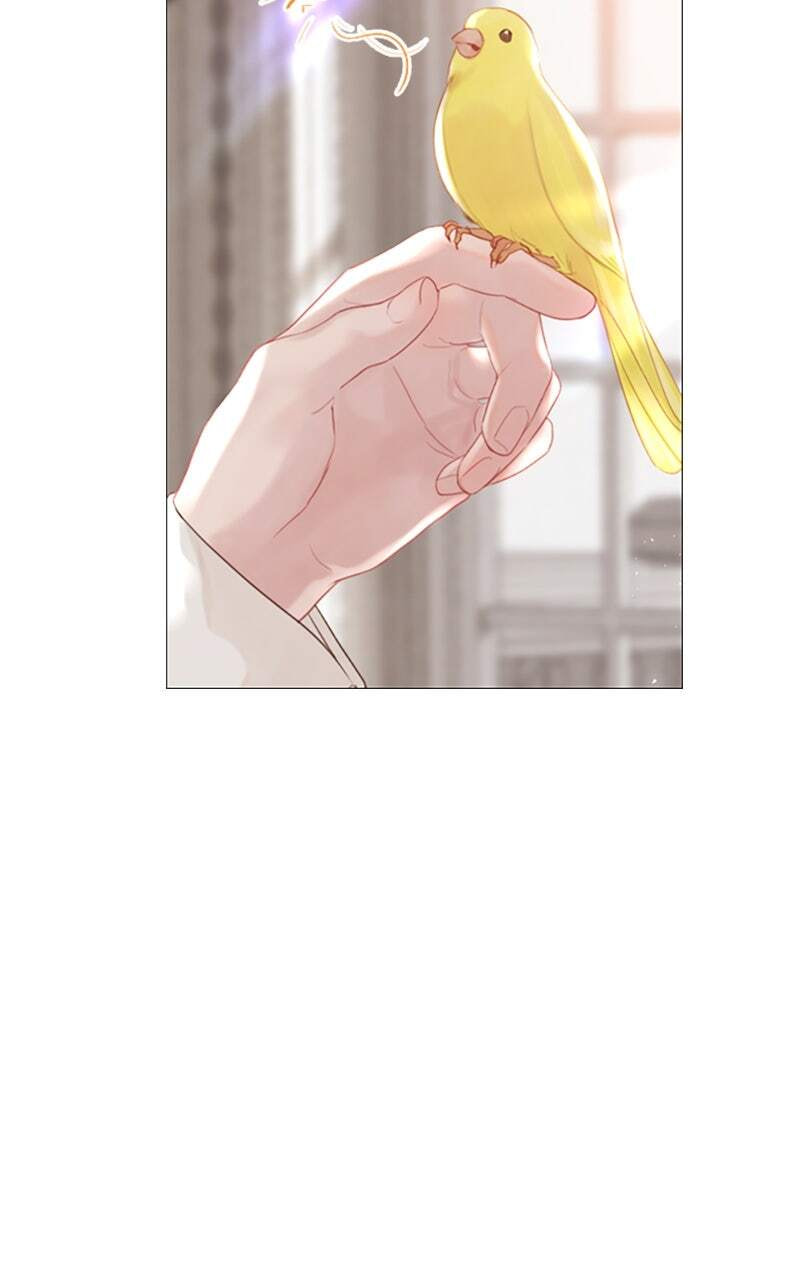 Cry, or Better Yet, Beg Chapter 14 page 54 - 