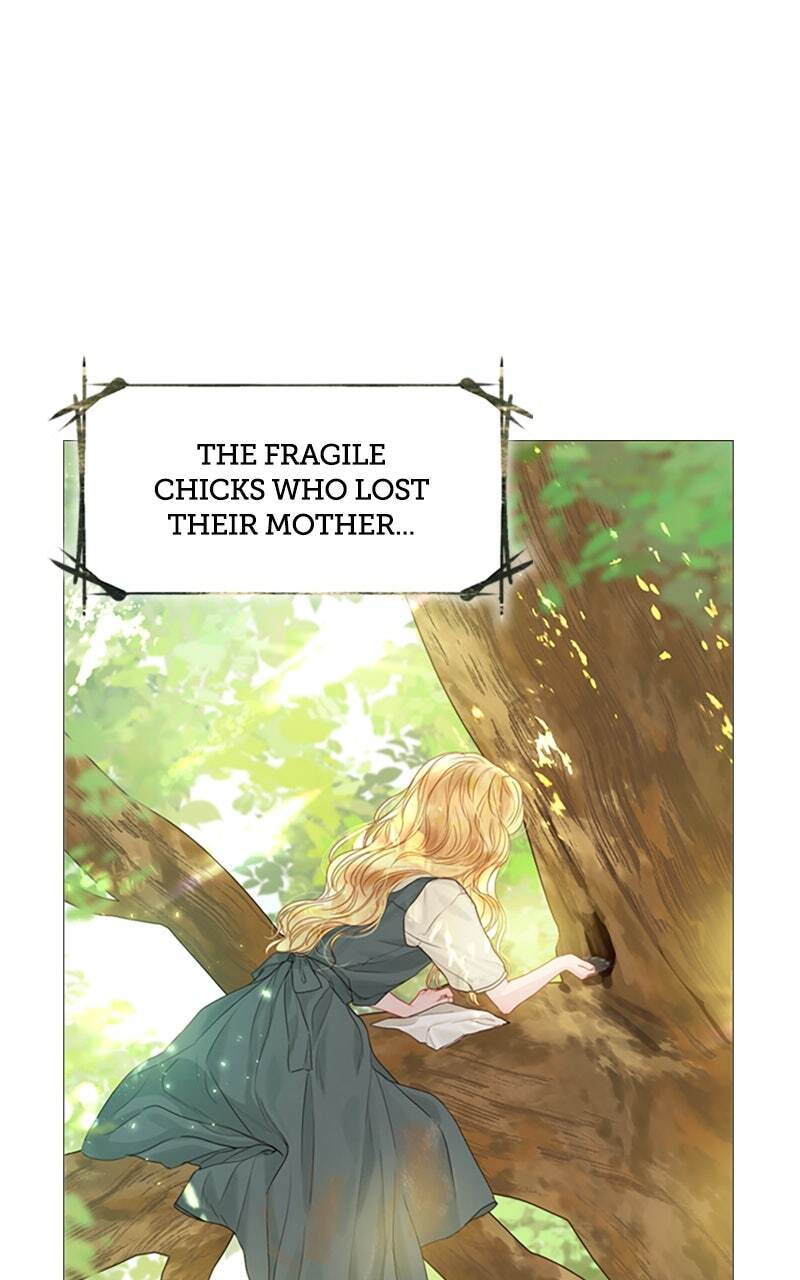 Cry, or Better Yet, Beg Chapter 4 page 21 - 