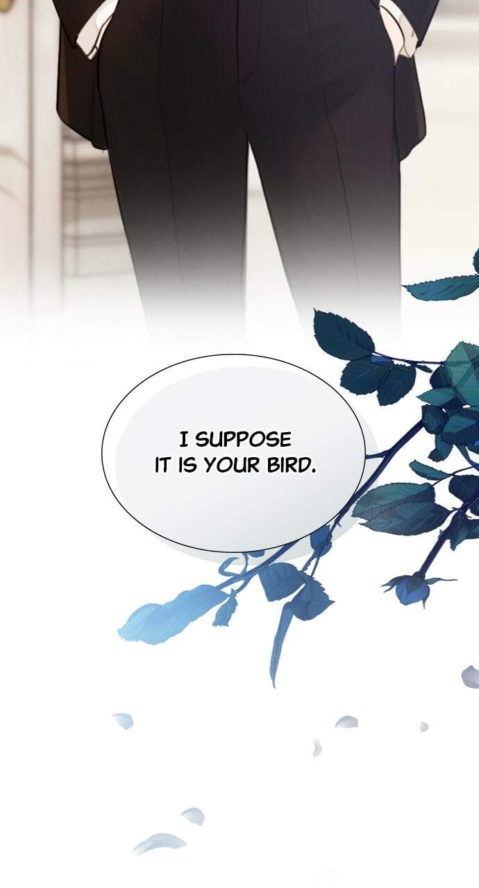 Cry, or Better Yet, Beg Chapter 61 page 72 - 