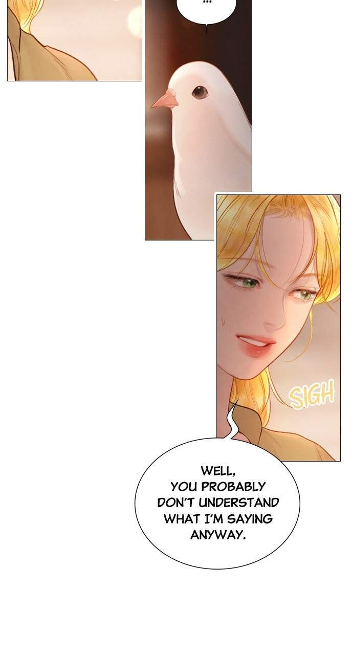 Cry, or Better Yet, Beg Chapter 63 page 5 - 
