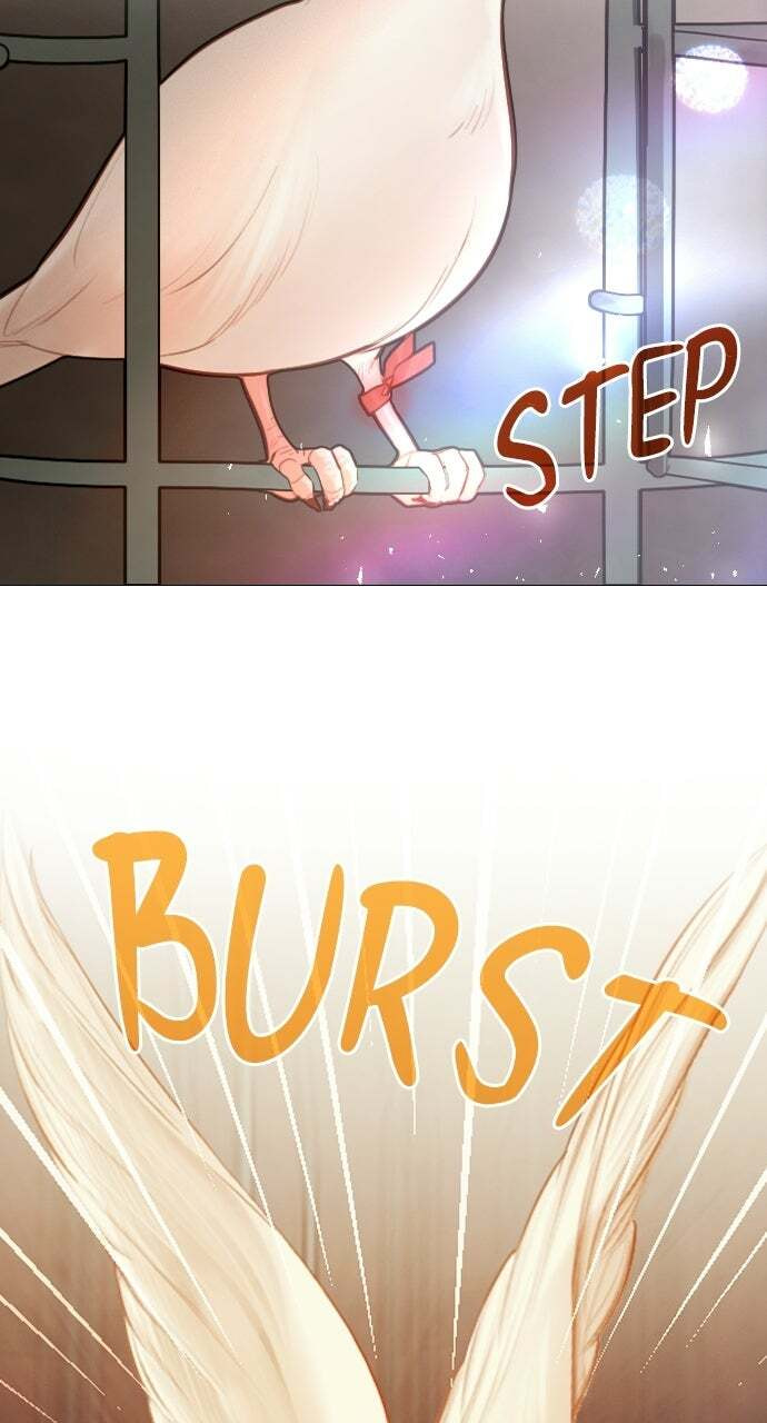 Cry, or Better Yet, Beg Chapter 73 page 62 - 