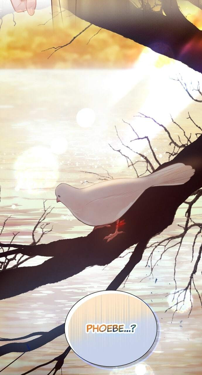 Cry, or Better Yet, Beg Chapter 73 page 99 - 