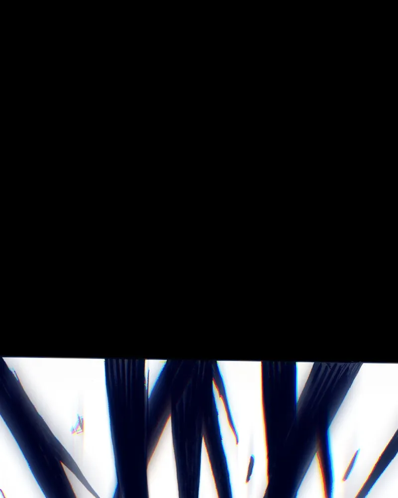Daedalus of the Crows Chapter 70 page 337 - 