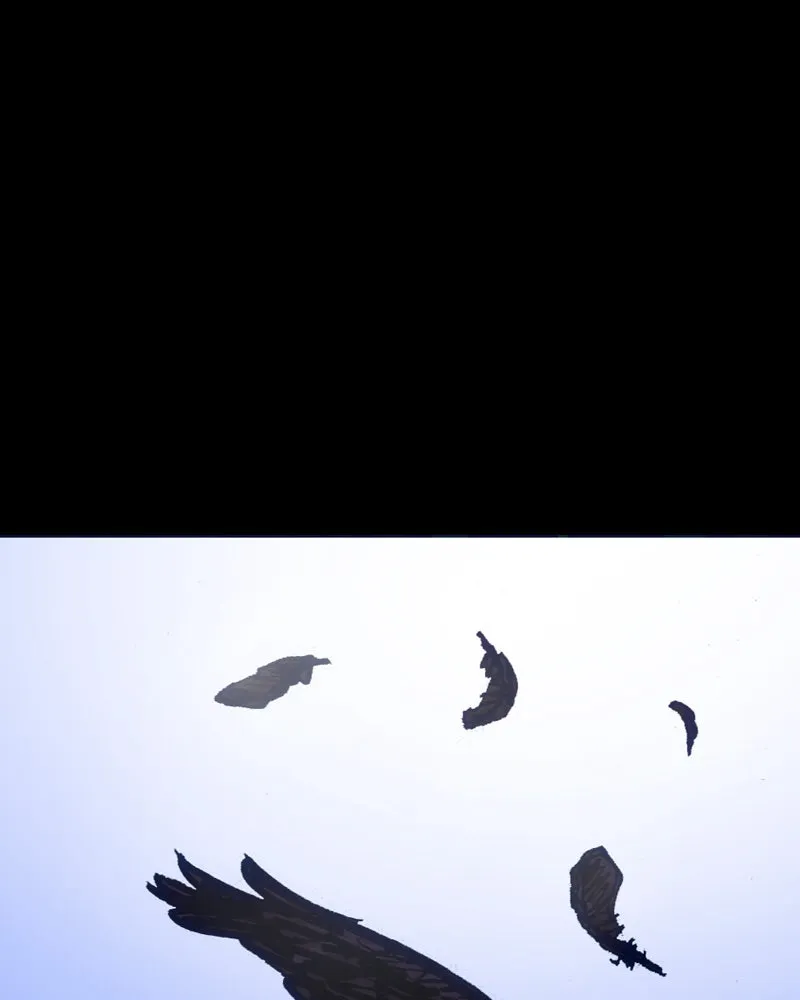 Daedalus of the Crows Chapter 83 page 296 - 