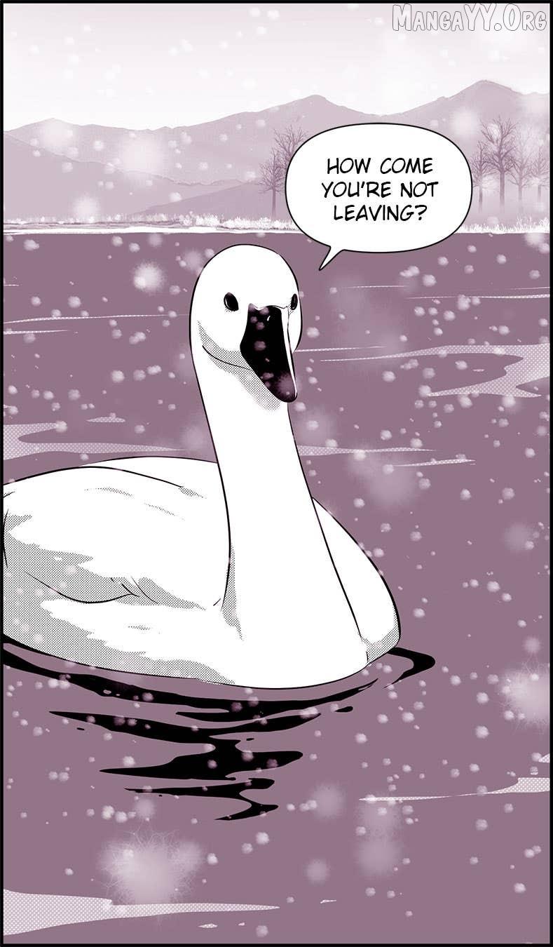 Daily JoJo Chapter 188 page 31 - 