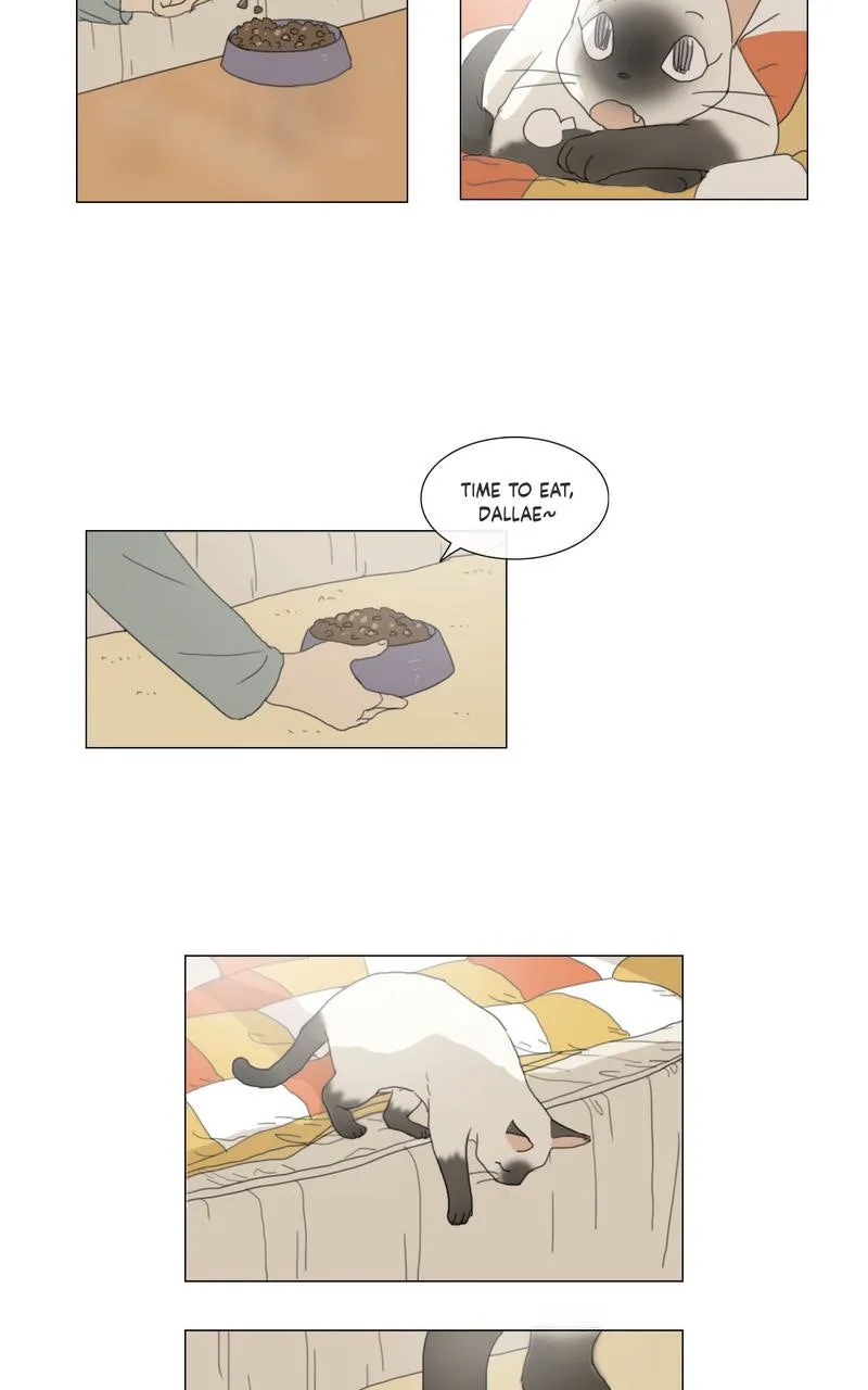 Dallae Chapter 1 page 16 - 
