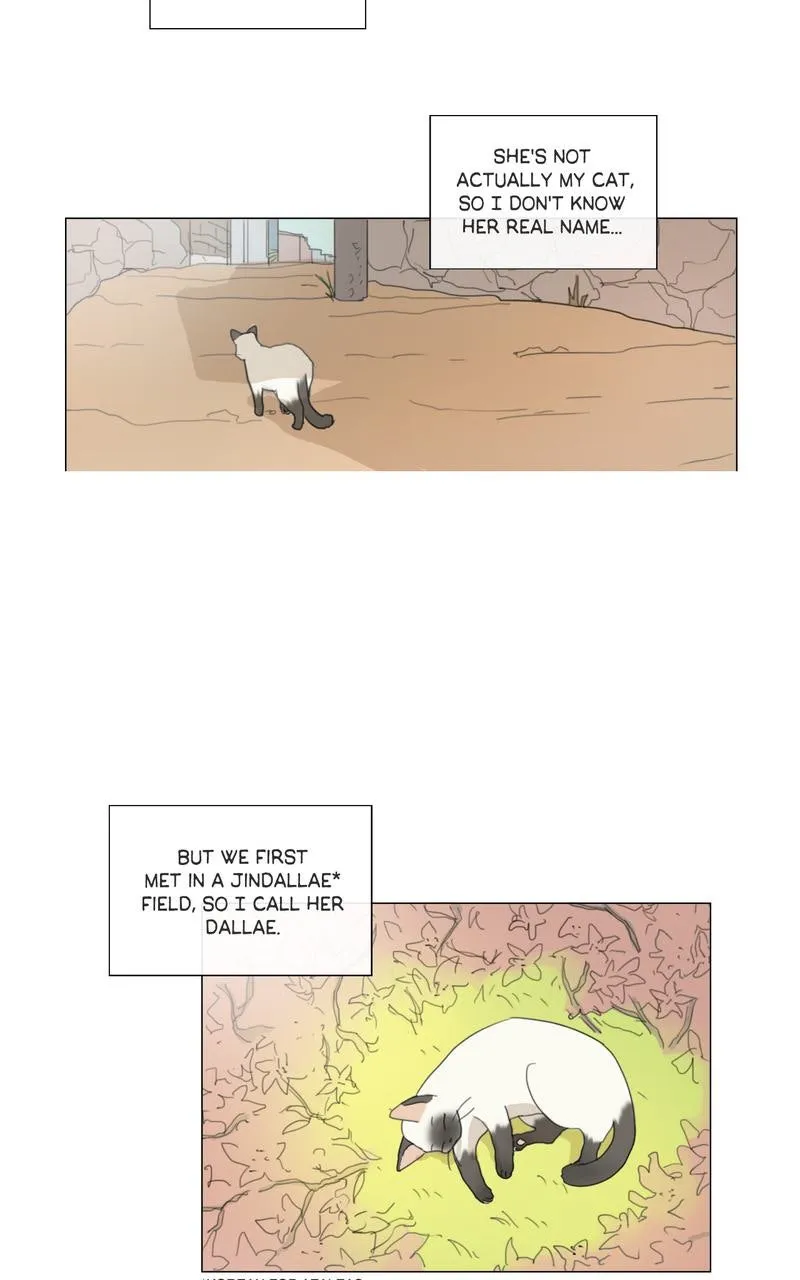 Dallae Chapter 1 page 24 - 