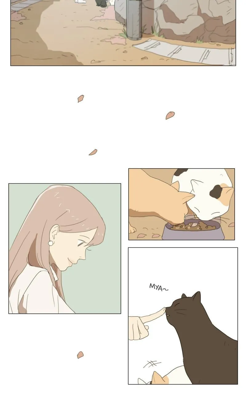 Dallae Chapter 1 page 29 - 