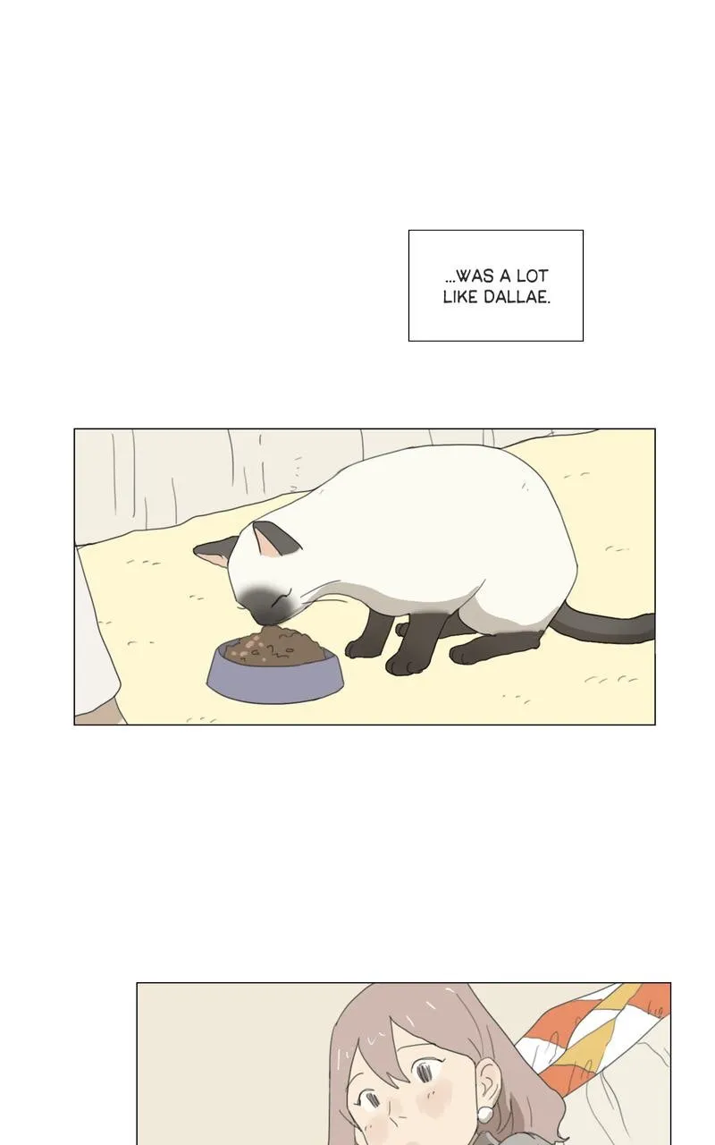 Dallae Chapter 2 page 29 - 