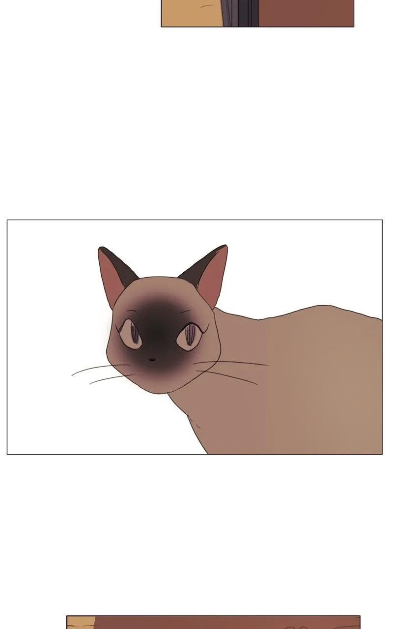 Dallae Chapter 2 page 40 - 