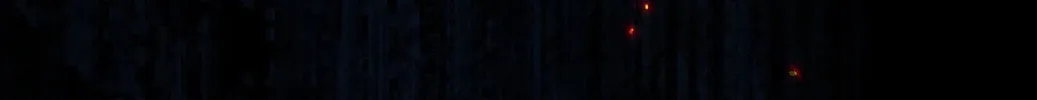 Dao Zou Wo De Shen Ming Chapter 3 page 111 - 