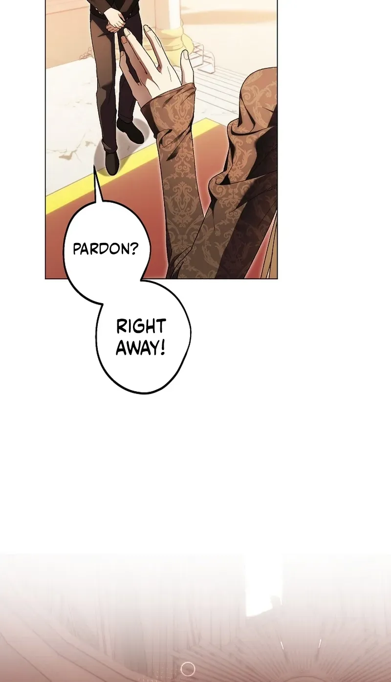 Dawn of Vengeance Chapter 43 page 80 - 