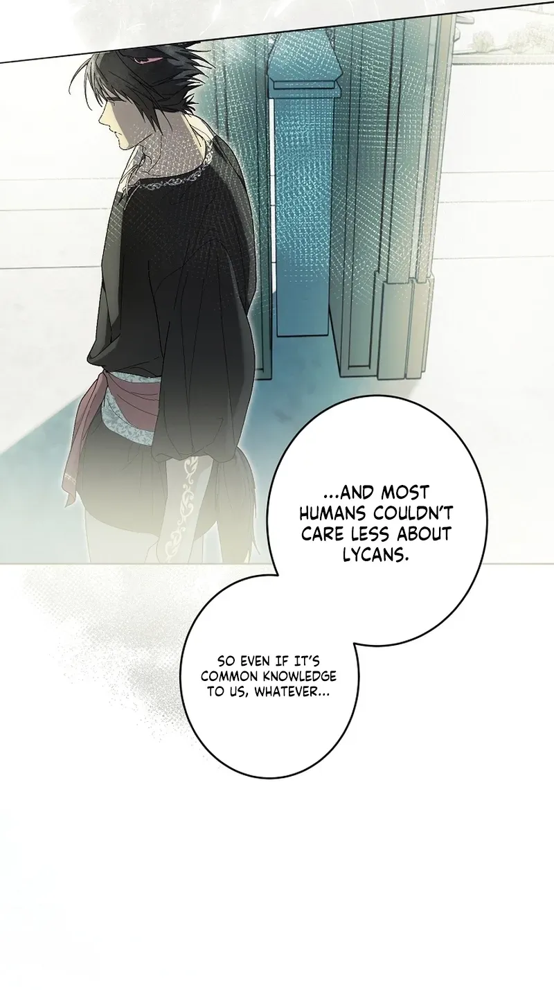Dawn of Vengeance Chapter 45 page 65 - 