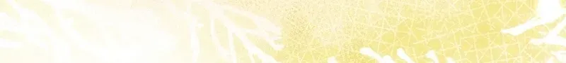 Dawn of Vengeance Chapter 47 page 63 - 