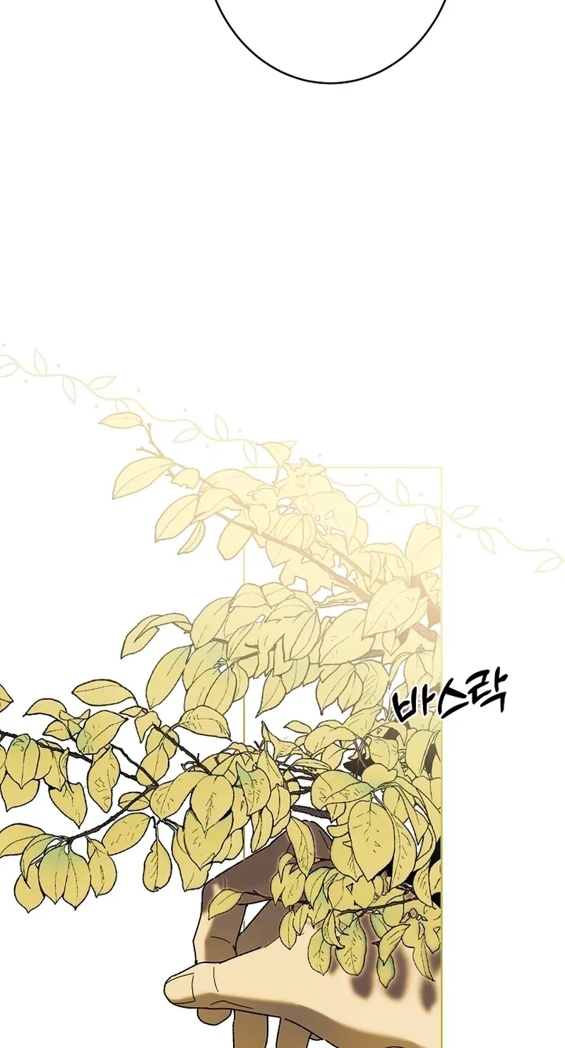 Dawn of Vengeance Chapter 50 page 83 - 