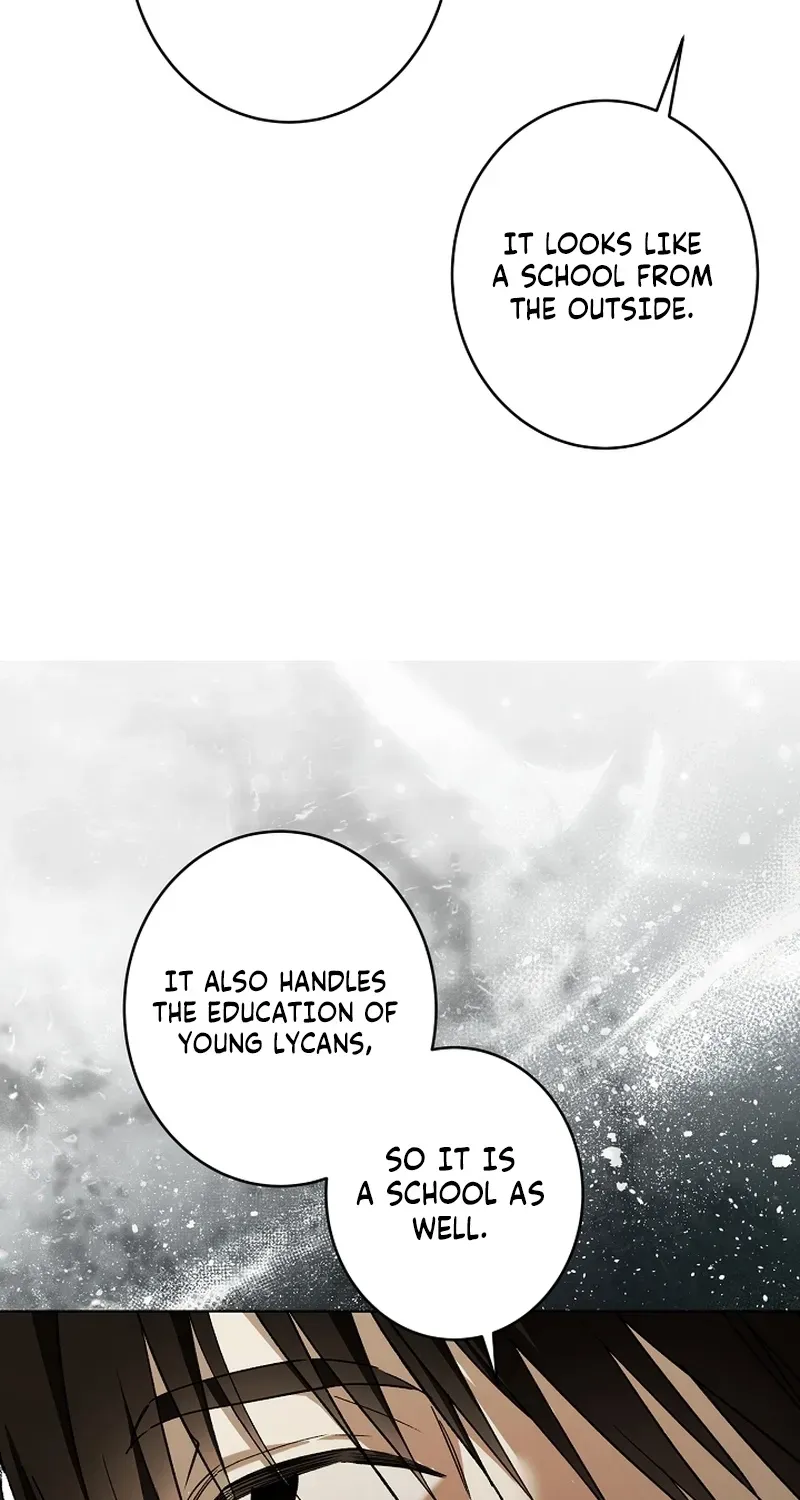 Dawn of Vengeance Chapter 51 page 100 - 
