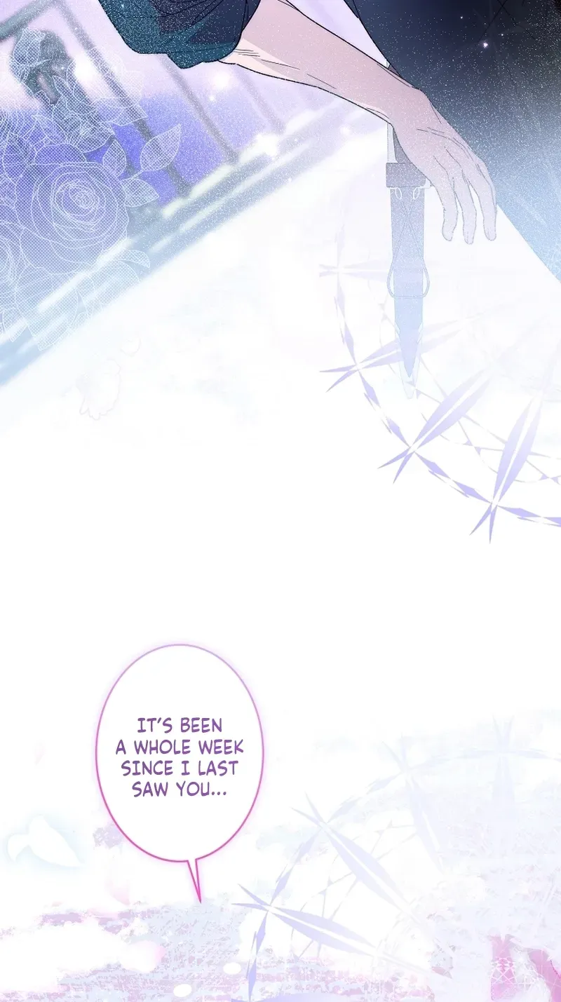 Dawn of Vengeance Chapter 53 page 132 - 