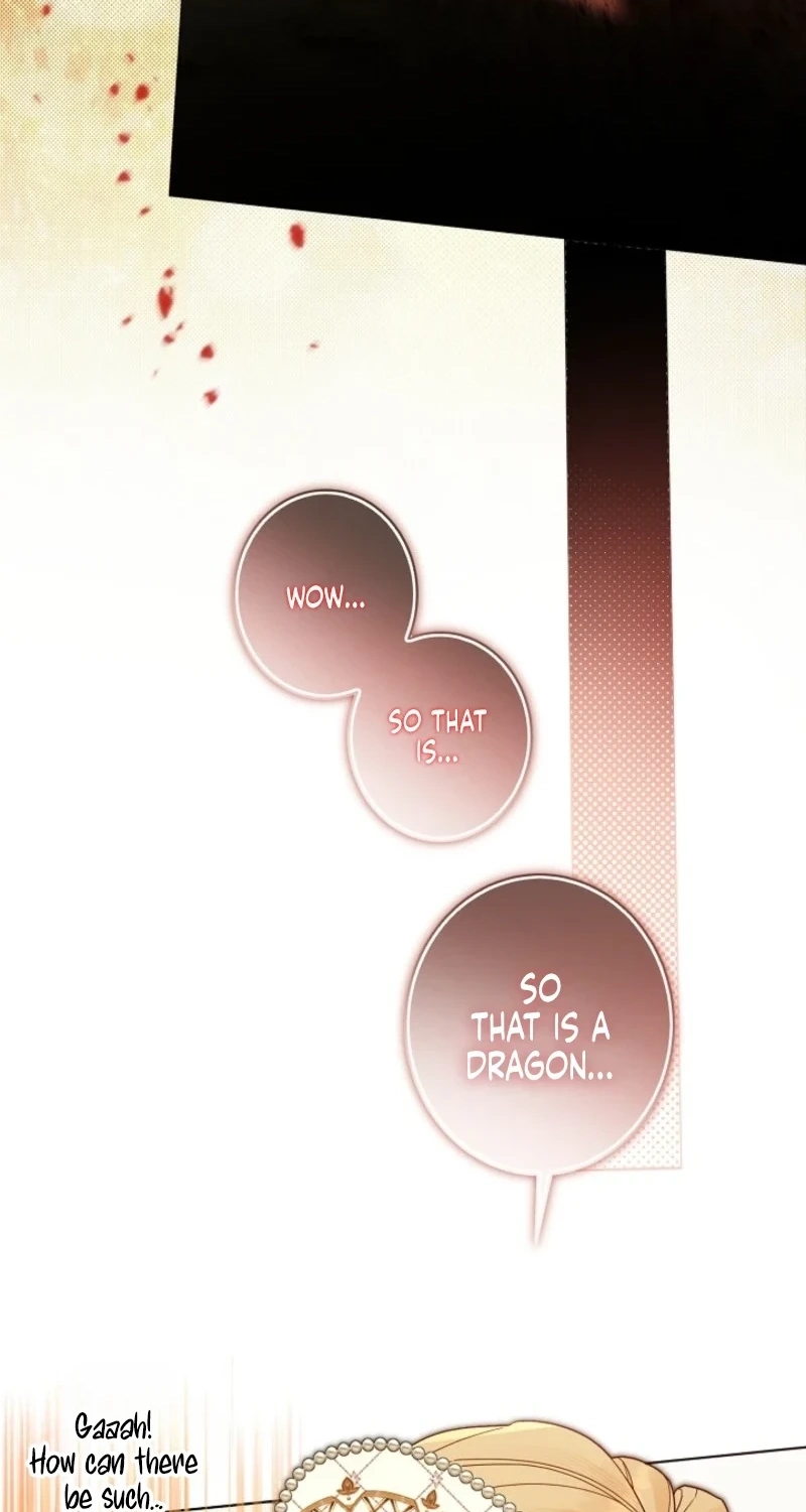 Dawn of Vengeance Chapter 62 page 26 - 