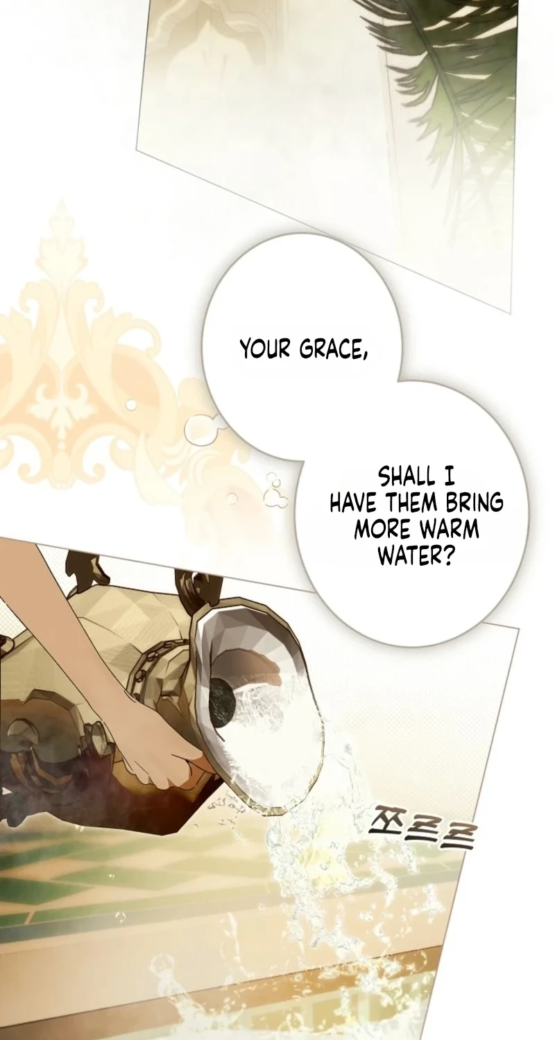Dawn of Vengeance Chapter 62 page 38 - 