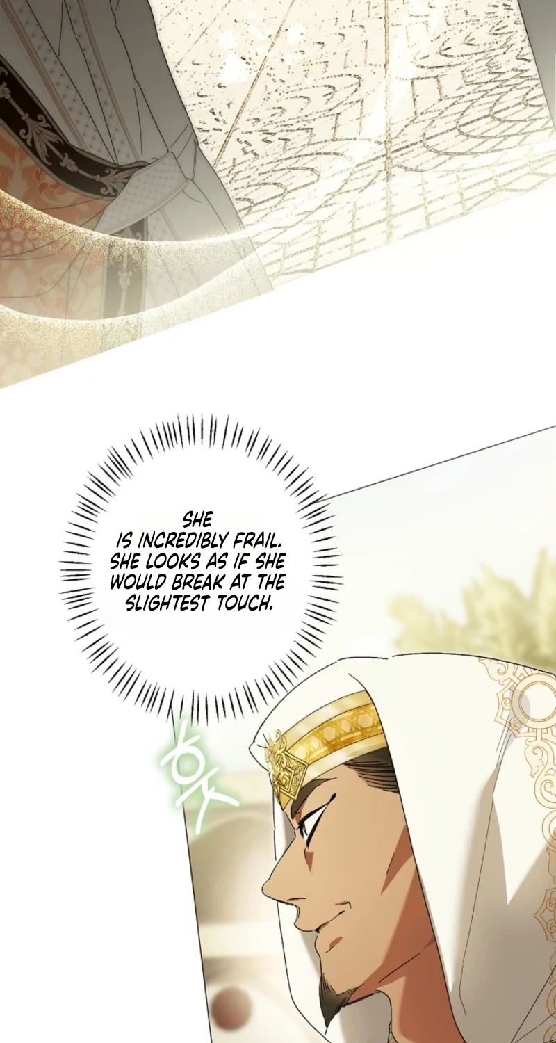Dawn of Vengeance Chapter 63 page 44 - 
