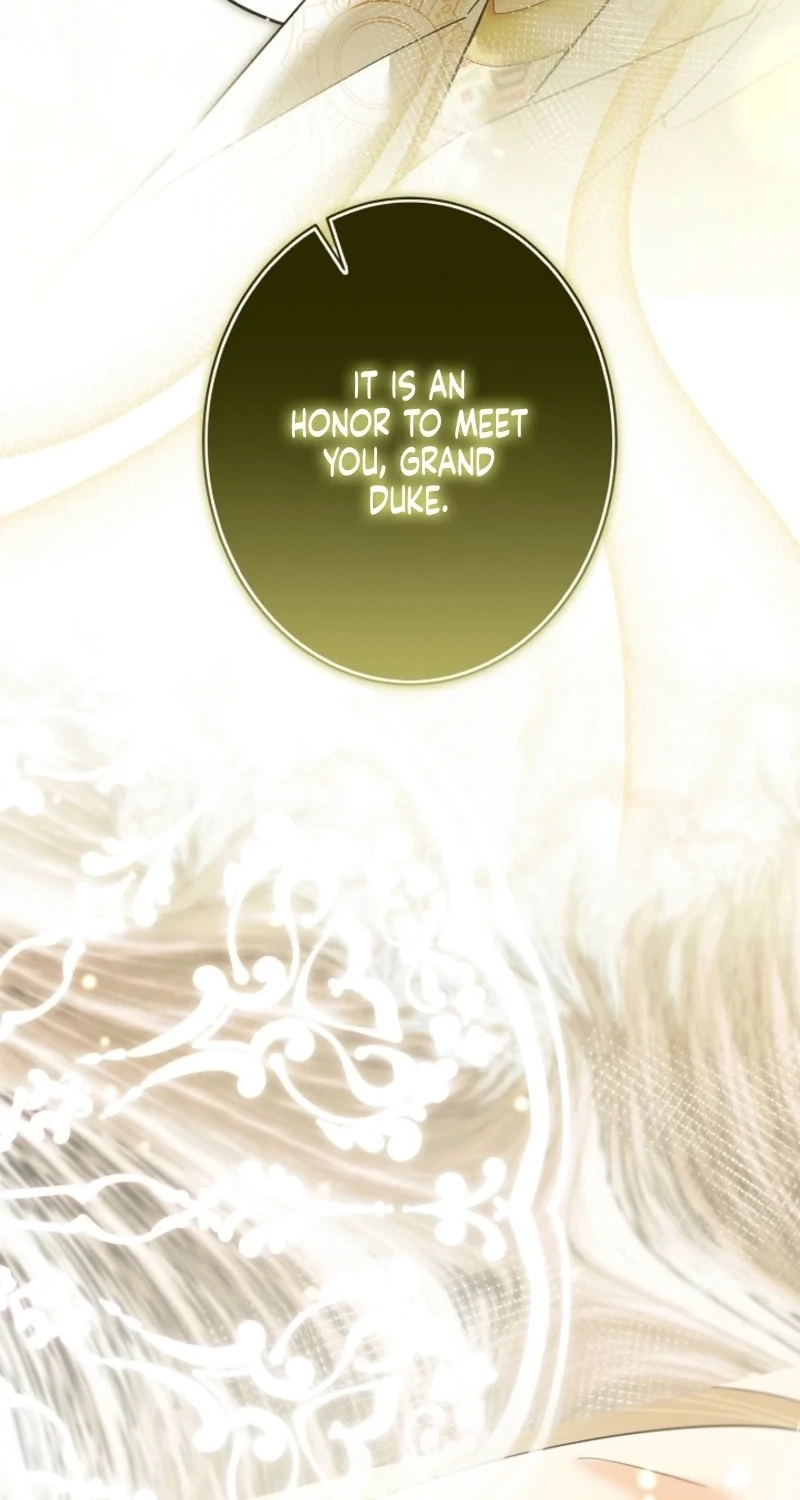 Dawn of Vengeance Chapter 63 page 47 - 