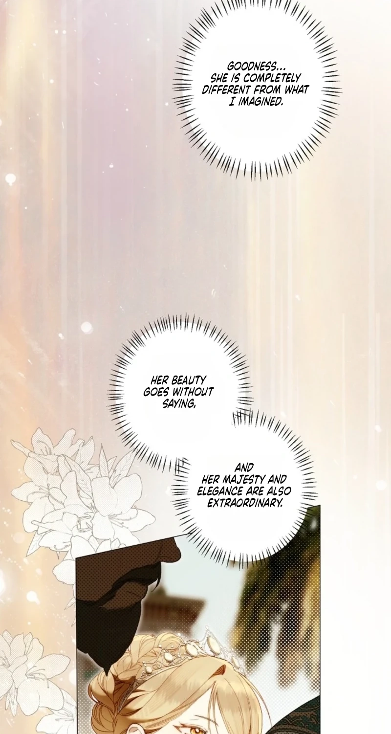 Dawn of Vengeance Chapter 63 page 63 - 