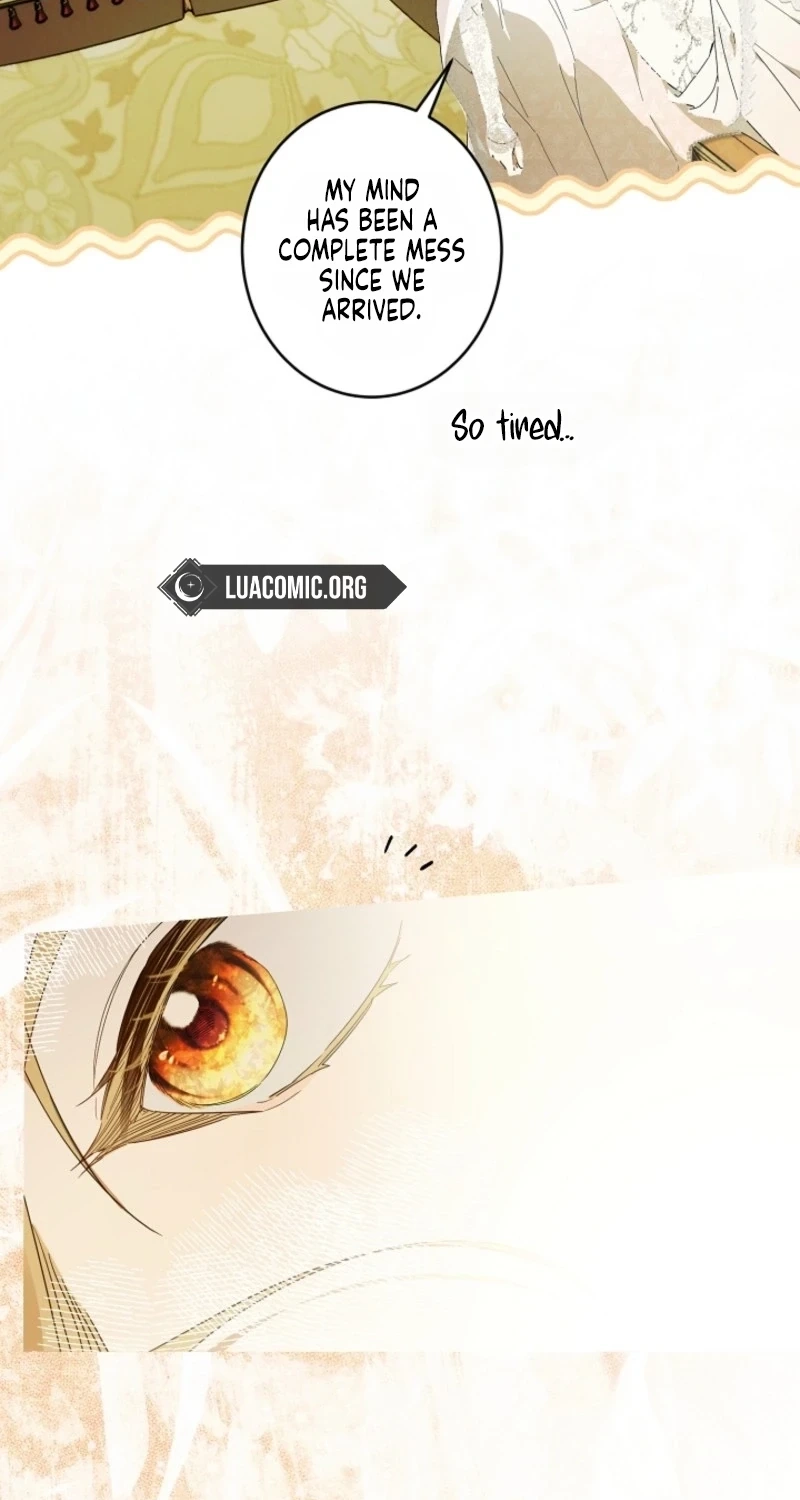 Dawn of Vengeance Chapter 64 page 19 - 