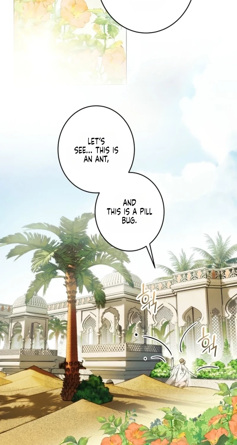 Dawn of Vengeance Chapter 64 page 32 - 