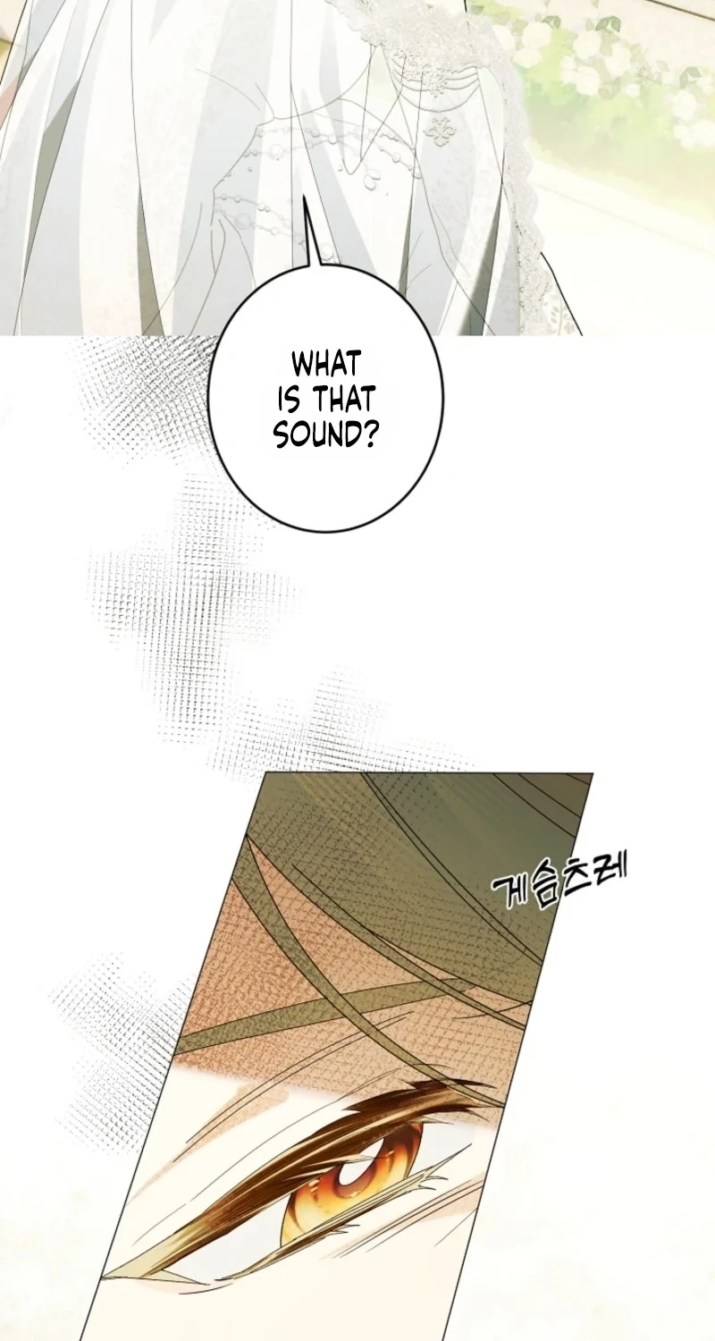 Dawn of Vengeance Chapter 64 page 36 - 