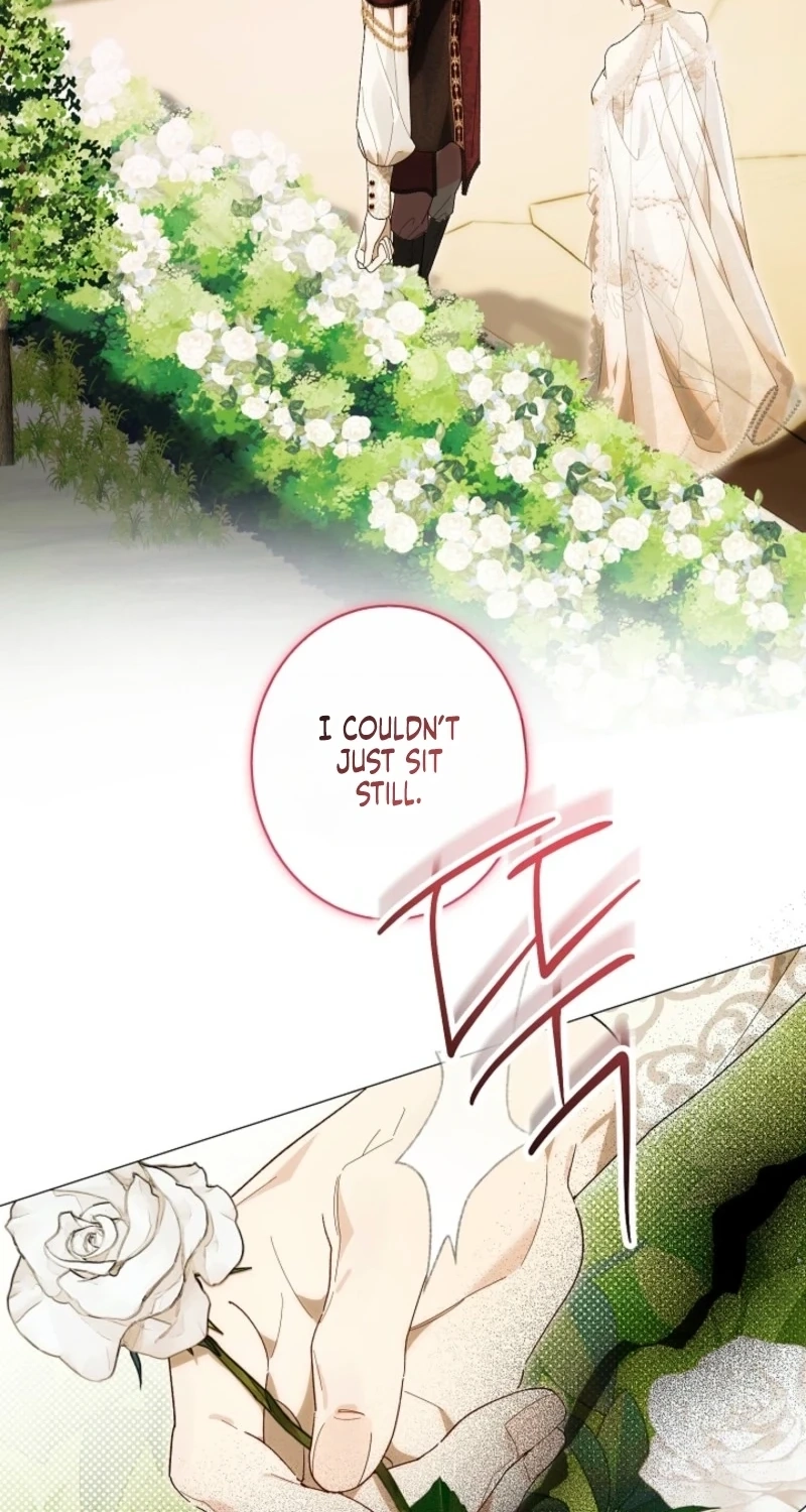 Dawn of Vengeance Chapter 64 page 67 - 