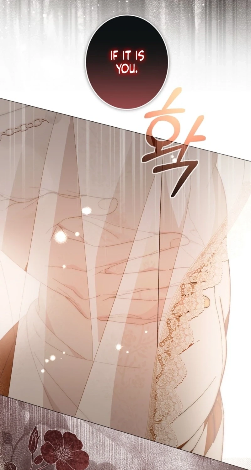 Dawn of Vengeance Chapter 64 page 87 - 